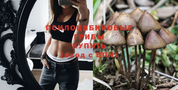 прущая мука Аркадак