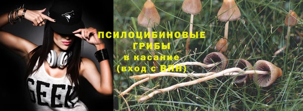 мескалин Арсеньев